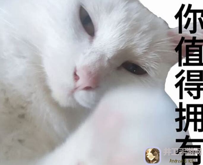 值得一看！尘白禁区战线分数详解与终极提升秘籍