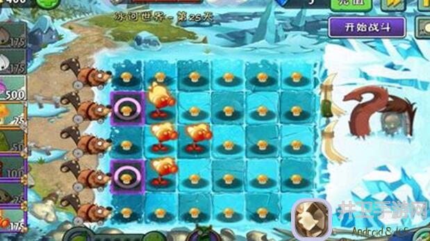 植物大战僵尸2新手秘籍！5步教你轻松打遍超Z联赛，封神配置遭疯抢！