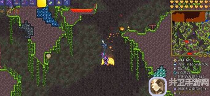 泰拉瑞亚沙暴瓶种子获取+搭配全攻略