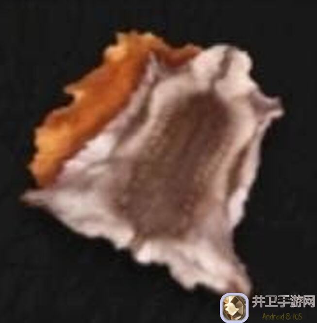 王牌战争幸存者联盟物品图鉴：窗户与墙的秘密