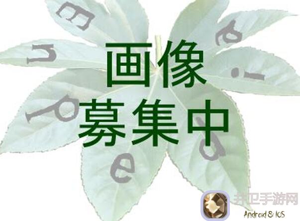 三国战纪2一命通关技巧大揭秘！哪个武将最吃香？速看!